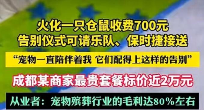 火化一只仓鼠收费700元