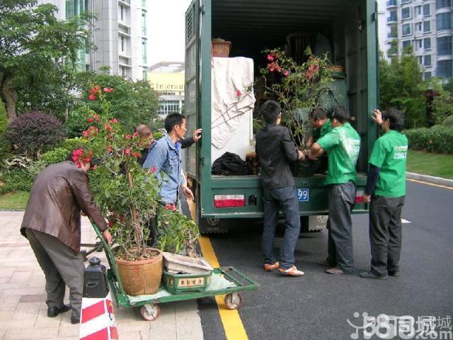 黑河财运来搬家公司