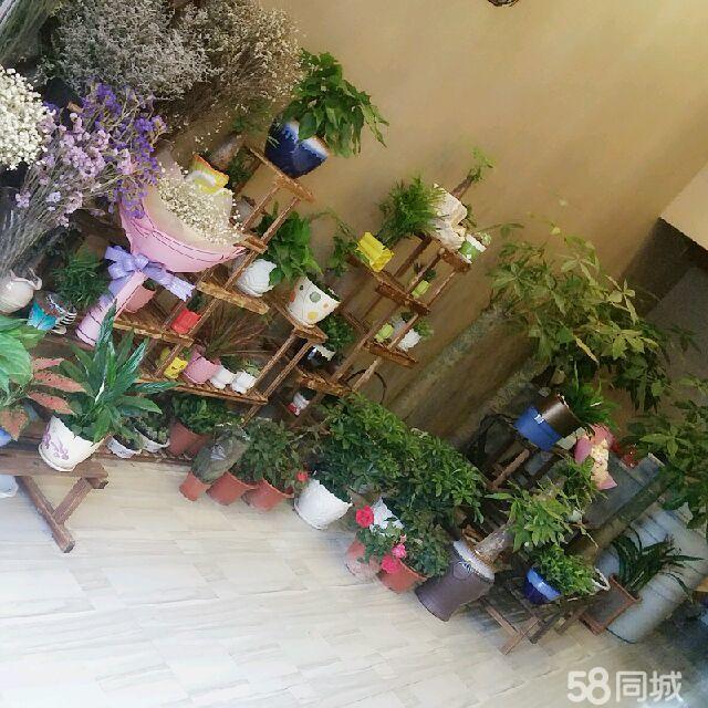 鲜花花束、绿植盆栽