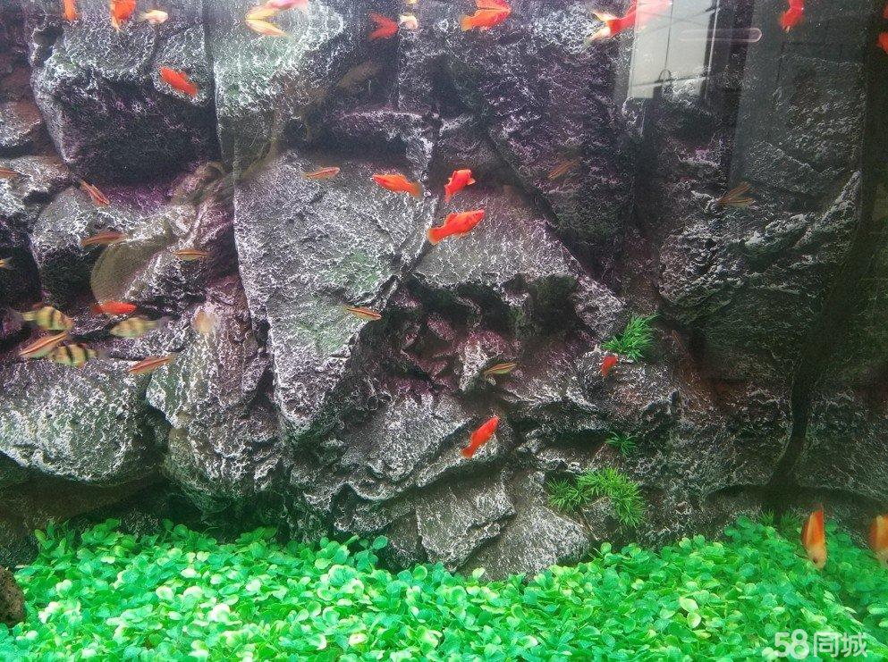 鱼缸造景3D海底世界原装进口PVC
