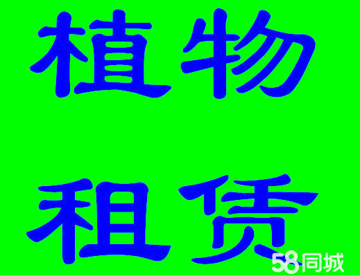רҵ⻨ܣɫֲڣ.