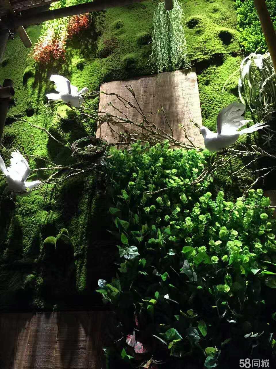 宝鸡室内外植物装修,绿色植物墙、垂直绿化室内外植等