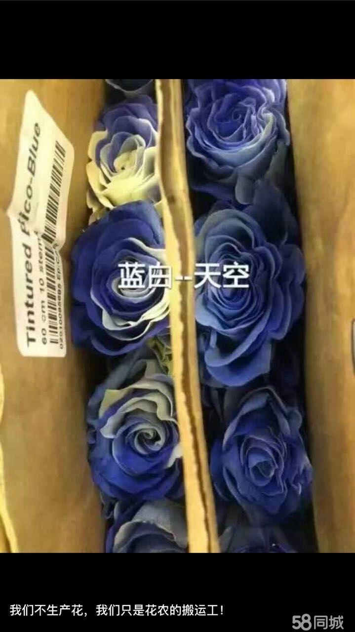 520Flower-新汇嘉时代店