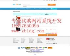 华人代购网站设计，俄语代购网站设计