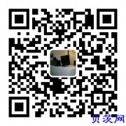 做yahoo代拍网站公司,雅虎代拍自动出价系统