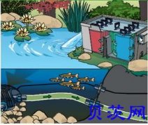 深圳生物涡流过滤器 生物海绵过滤器 锦鲤鱼池过滤