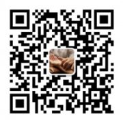 不同年龄期学习困难的表现