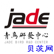 定制网站软件APP开发