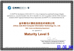 金华首家具备CMMI5高级资质软件定制研发公司
