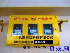 供应山东燃气表箱生产厂家 燃气表箱加工 燃气表箱特点