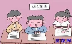 在广东报考成人高考有哪些志愿填报技巧？