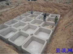组合式化粪池模具