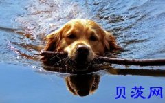 南京五年制专转本：南京晓庄学院专转本备考攻略