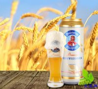 爱士堡德国进口小麦啤酒整箱500ml*24聚会必备招商