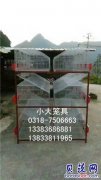 供鸽笼 兔笼 鸡笼 鸟笼 狗笼 宠物笼 运输笼 鹧鸪笼 鹌鹑