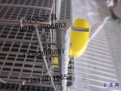 售鸡笼 兔子笼 鸽子笼 鹌鹑笼 竹鼠笼 鹧鸪笼 运输笼 鸟笼