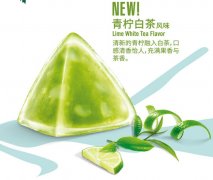星巴克粽子水晶粽198型星冰粽子礼盒水晶透明即食粽端午礼品团