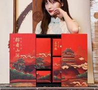 粮午斋棋盘款端午节粽子礼盒装送礼企业团购定制logo蛋黄肉粽