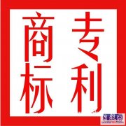 财税报告、税务筹划
